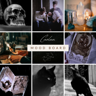 Mehrer Bilder sind abgebildet: ein Schädel, zwei Männer & eine Frau, Kristalle, Zauberbuch, Katze, Rabe, eine Tarotkarte und Feuer